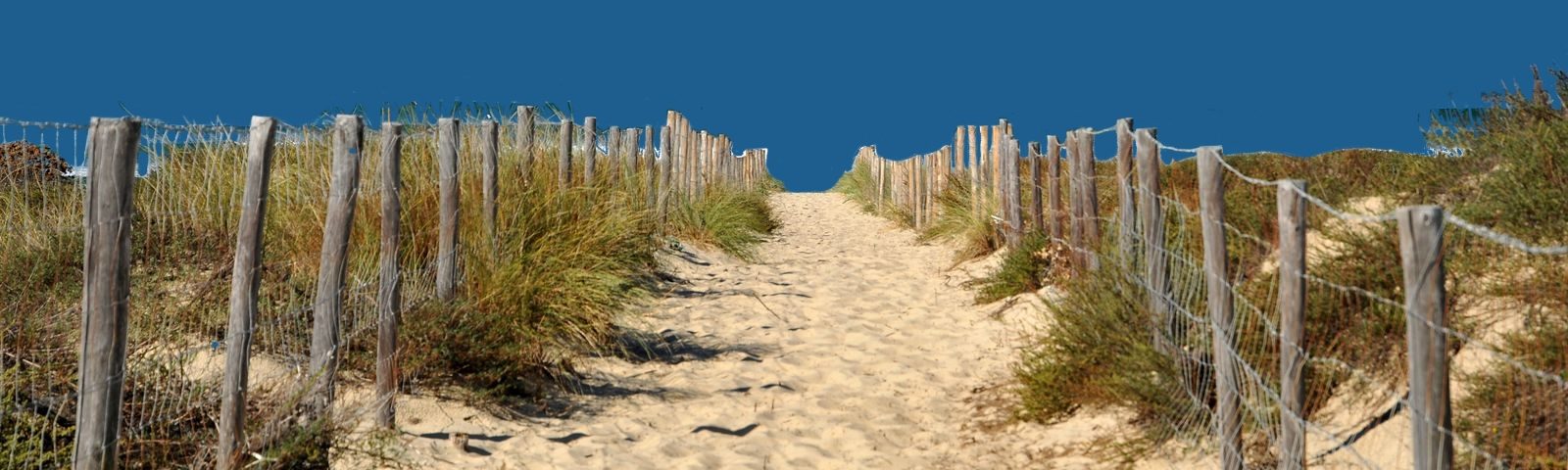 côte sauvage - Cap ferret