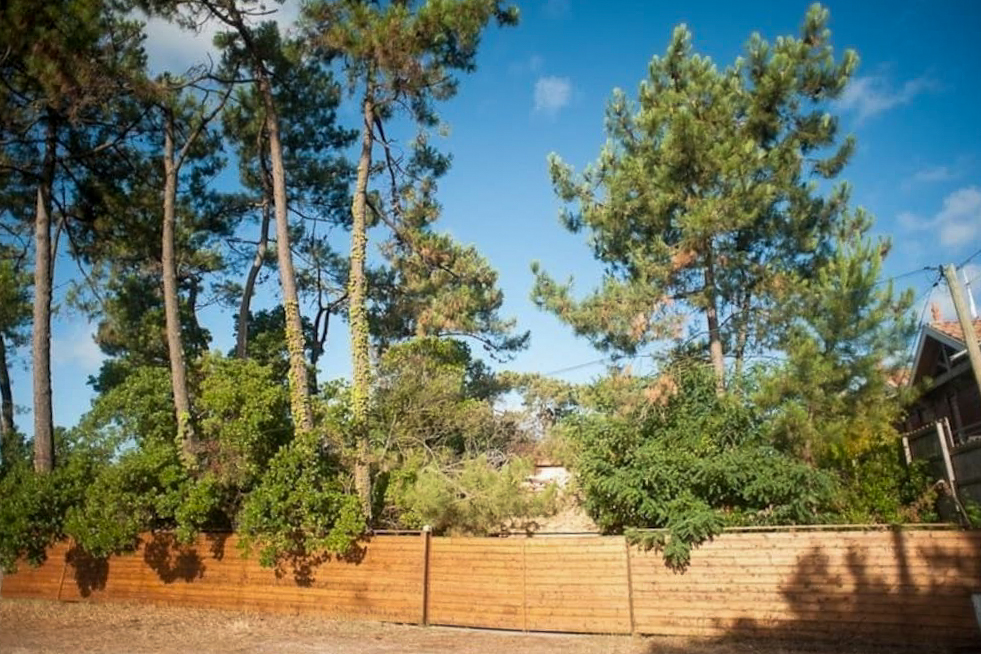 extérieur, jardin, cap ferret, villa concorde, villa